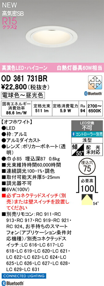落ちこむ点火装置 オーデリック OD361731BR