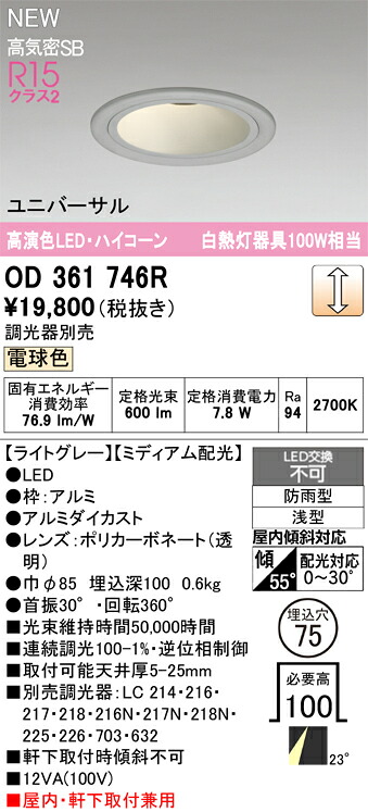 落ち込むともし火 オーデリック OD361746R