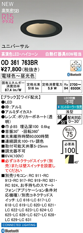 落ちこむ点火装置 オーデリック OD361763BR