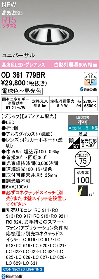 落ちこむ点火装置 オーデリック OD361779BR