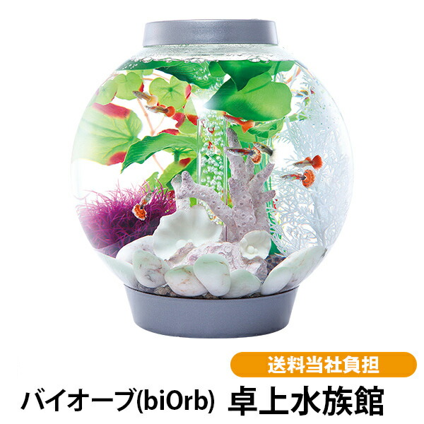 バイオーブ Biorb ナチュラルライフスタイル 卓上水族館 バイオーブ 水槽 卓上水族館 アクアリウム 雑貨 照明 照明 アクリル アクリル インテリア 送料無料 オブジェ おしゃれ 小型水槽 ココチモの通販ショップ店初心者にもおすすめ 卓上に広がる美しい水の