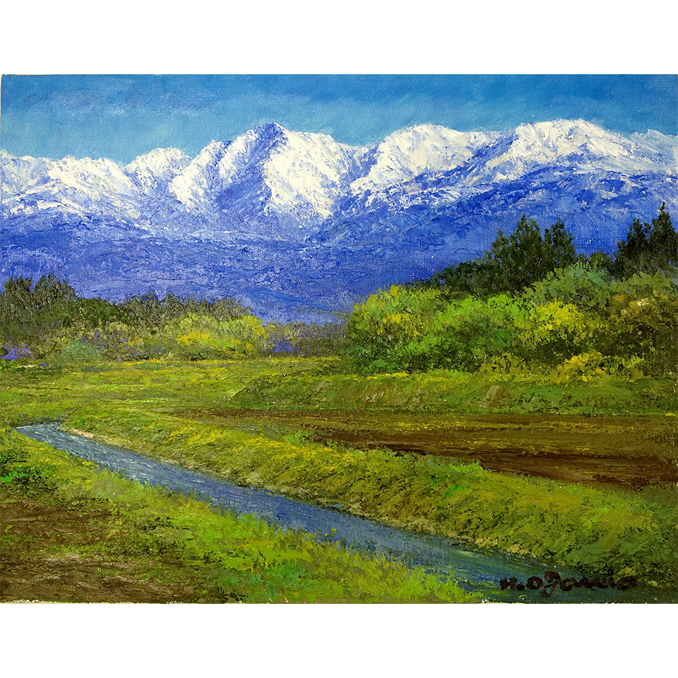 【高評価安い】絵画　油彩　吉田敏之 白樺　油絵Ｗ３キャンパスのみ　送料無料！！ 自然、風景画