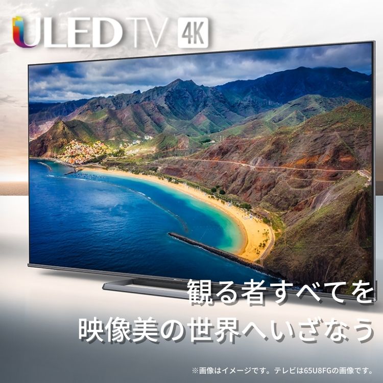 Hisense ハイセンス 4K 配信動画 110度CSデジタル 50V型 モニター 50型