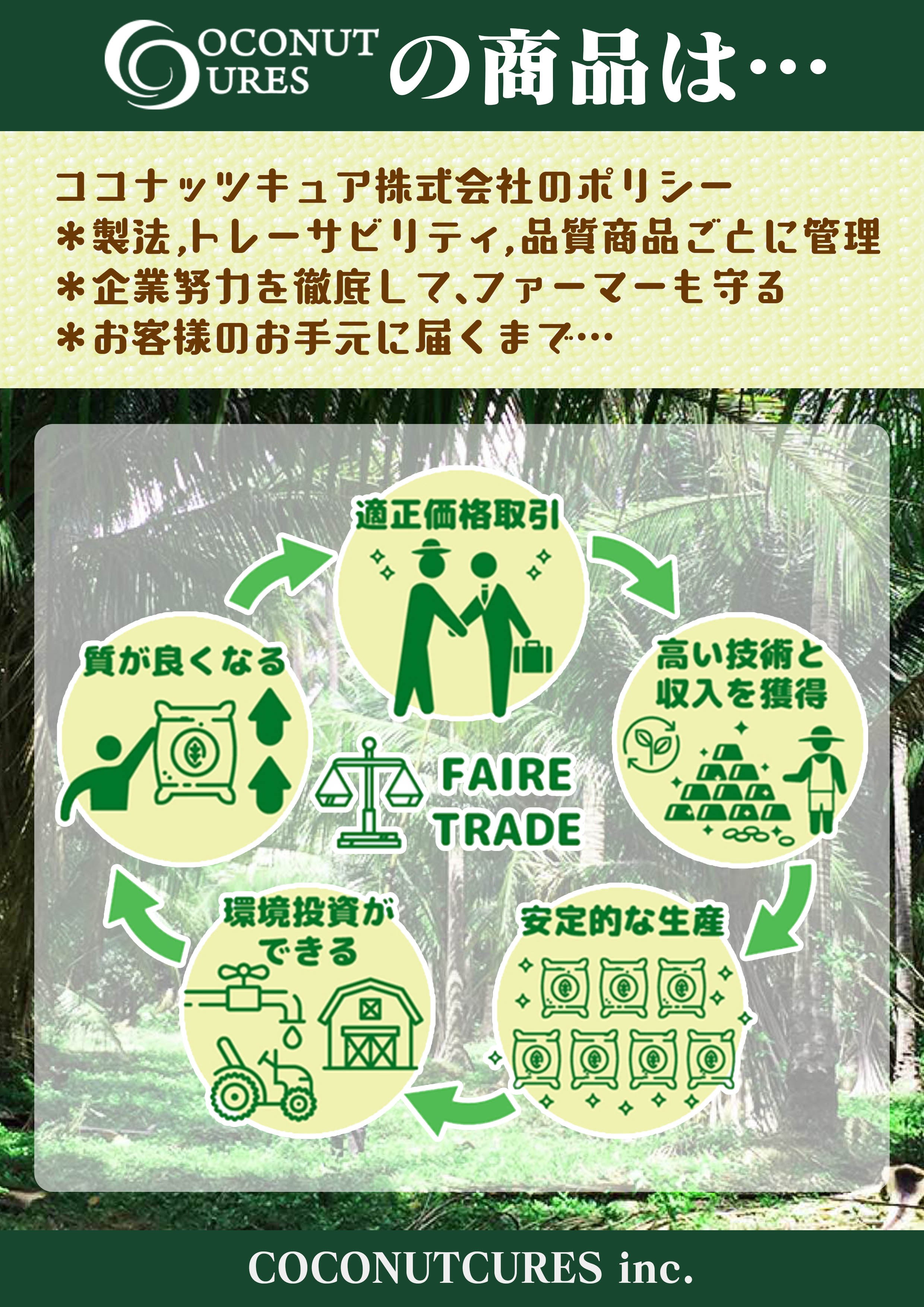 豊富なギフト オーガニック ココナッツクリーム ココキュア 有機JAS認証 無添加 砂糖 不使用 植物性 ヴィーガン対応 中鎖脂肪酸 コレステロール0  cococure 24本 1箱 fucoa.cl