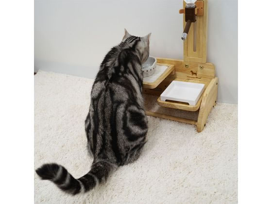 お取り寄せ ドギーマンハヤシ ウッディーコンパクトダイナー Alittlepeaceofmind Co Uk