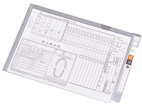 【マラソン限定★ポイント2倍】リヒトラブ カルテフォルダー フラップ付シングル横型A4 100枚 HK2003 インデックス付 Ａ４ クリアホルダー ファイル｜ココデカウ
