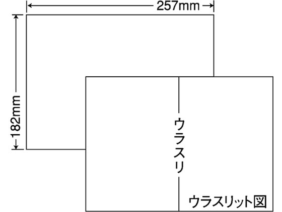 【百貨店SALE押さえる★尖んがり2倍＆2,000円引き換え証】【製造会社直送】NANA ラベルシールナナコピーB5 ノーカット 1000腰掛け C1B5【代引不可】まとめ買い 御勤め用 箱売り 箱買いとり 容れもの買いとり ノーカット マルチ印刷人相応う付け紙消印 ねばり着く付け紙質問用紙