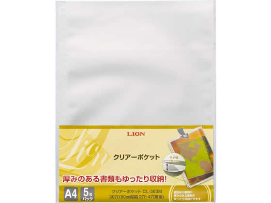 楽天市場】キングジム 多穴ホルダー封筒タイプ（マチ付)A4タテ 30穴 10