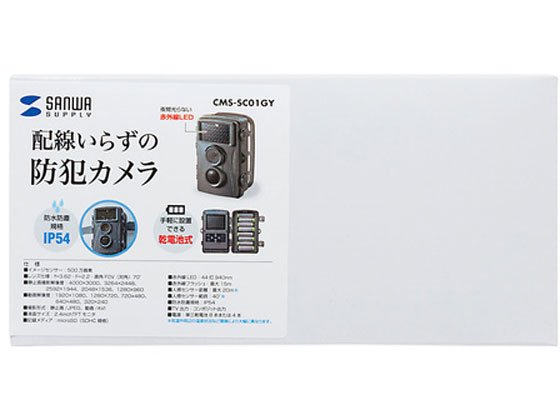 【マラソン限定★ポイント2倍】【お取り寄せ】サンワサプライ セキュリティカメラ CMS-SC01GY 防犯カメラ 防犯セキュリティ|ココデカウ