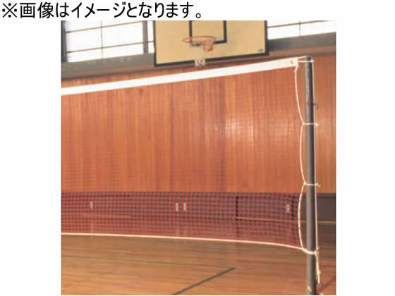 【百貨店SALE押さえる★尖んがり2倍＆2,000円クーポン券】【お取り寄せ】ダンノ バドミントンサイバー空間 バドミントン20 12 D6500