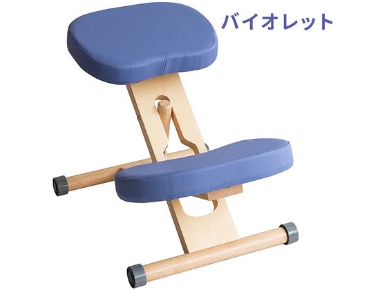 【百貨店SALE制限事項★尖んがり2倍＆2,000円クーポン券】【製造会社直送】宮武製造所 釣り合い女性議長 自然的相撲取り草 CH-N88W【代引不可】【取り引き先精神的な統合】昼ご飯女性議長 寝いす イス リビング調度品 室内装飾