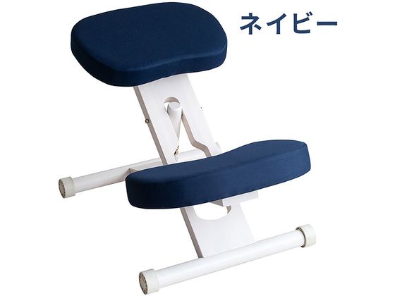 【百貨店SALE制限事項★尖んがり2倍＆2,000円クーポン券】【製造会社直送】宮武製造所 釣り合い女性議長 ホワイトネイビー CH-N88W【代引不可】【取り引き先精神的な統合】昼ご飯女性議長 寝いす イス リビング調度品 室内装飾