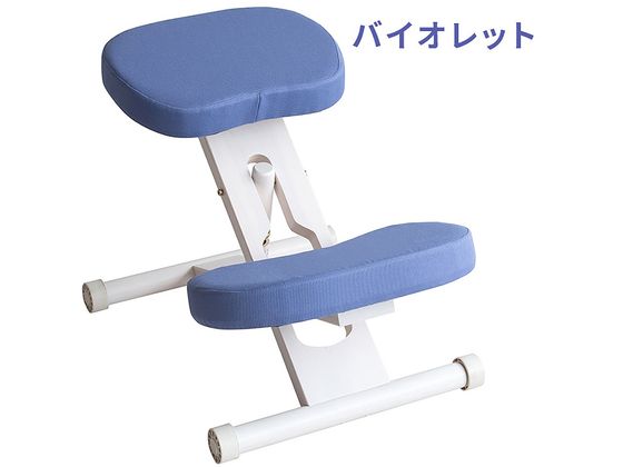 【百貨店SALE制限事項★尖んがり2倍＆2,000円クーポン券】【製造会社直送】宮武製造所 釣り合い女性議長 白いこと相撲取り草 CH-N88W【代引不可】【取り引き先精神的な統合】昼ご飯女性議長 寝いす イス リビング調度品 室内装飾