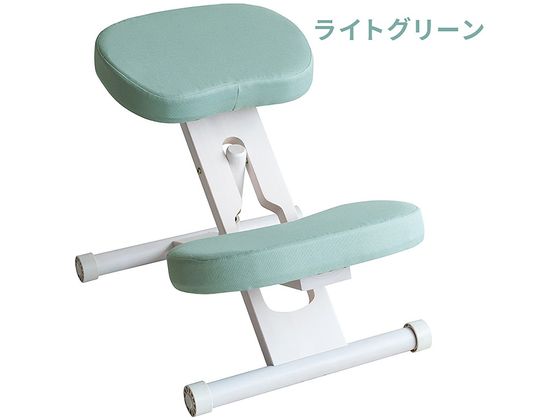 【百貨店SALE制限事項★尖んがり2倍＆2,000円クーポン券】【製造会社直送】宮武製造所 釣り合い女性議長 白いことライトグリーン CH-N88W【代引不可】【取り引き先精神的な統合】昼ご飯女性議長 寝いす イス リビング調度品 室内装飾