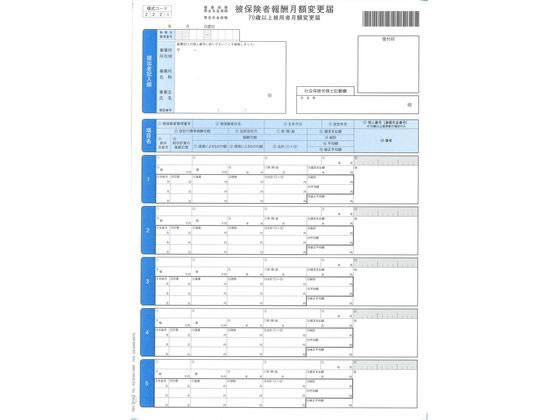 【マラソン限定★ポイント2倍】【メーカー直送】OBC 単票被保険者賞与支払届1 A4 200枚入 5165【代引不可】法令様式 ビジネスフォーム ノート|ココデカウ