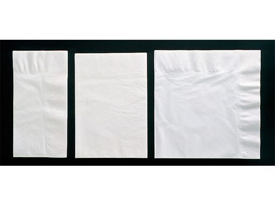 【百貨店SALE押さえる★最大限度20%OFF＆2,000円引き換え証】貨物輸送無料 【お取り寄せ】EBM 紙製 速見表ナフキン 2層式P-U 八ツ折 2000枚入 勝手もと雑貨
