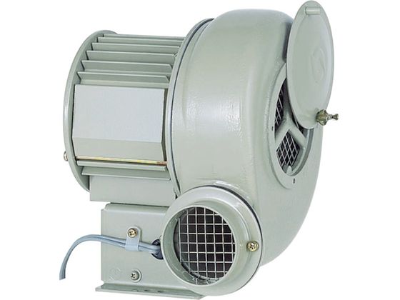 【レビュー投稿で100円OFFクーポン】【お取り寄せ】昭和 電動送風機 汎用シリーズ(0.25kW) SB-75 送風機 発電機 工具類 実験用小物 機材 29,590円