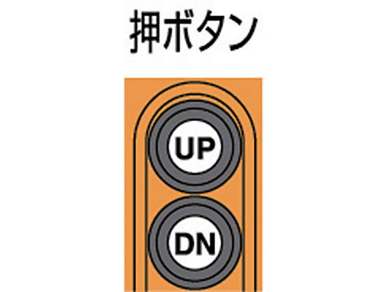 象印 単相100V小型電気チェーンブロック 1速型 100kg・3m DIY・工具