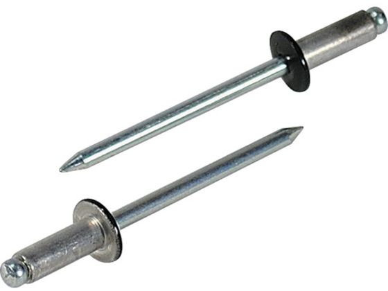 【レビュー投稿で100円OFFクーポン】【お取り寄せ】エビ カラーリベット ブラック 4-2 (1000本入) CNSA42B ボルト ねじ 釘 素材 作業用品 工具