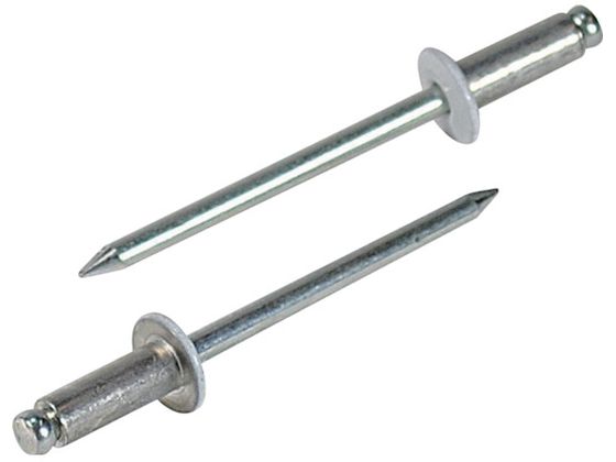 【レビュー投稿で100円OFFクーポン】【お取り寄せ】エビ カラーリベット ホワイト 4-2 (1000本入) CNSA42W ボルト ねじ 釘 素材 作業用品 工具