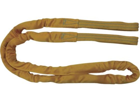 【レビュー投稿で100円OFFクーポン】【お取り寄せ】TESAC ブルースリングソフトE形(両端アイタイプ)荷重3.2t 全長5m ワイヤー スリング 吊具 バランサー 物流 作業