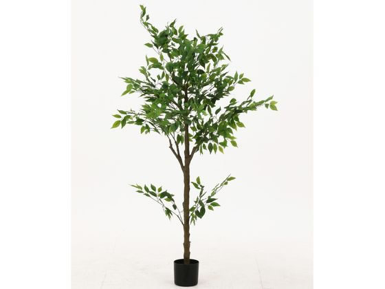 【マラソン限定★2,000円クーポン＆ポイント2倍】【メーカー直送】不二貿易 フェイクグリーン フィカス 160cm ジョイント 41123【代引不可】人工植物 フェイクグリーン エントランス インフォメーション オフィス家具