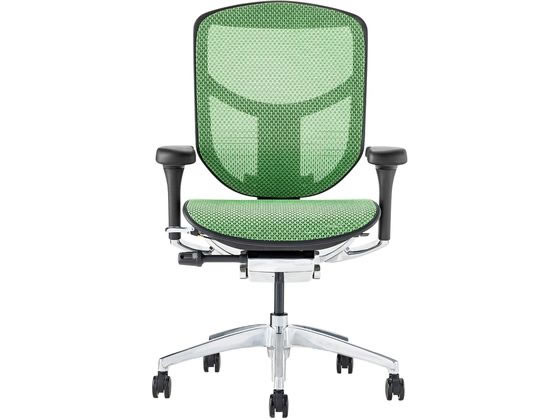 【マラソン限定★ポイント2倍】【メーカー直送】Ergohuman エルゴヒューマン エンジョイ2 ロータイプ　グリーン 389606【代引不可】【お客様組立】肘付き 可動肘タイプ メッシュチェア オフィスチェア オフィス家具｜ココデカウ