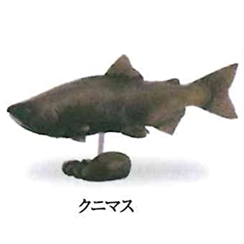 楽天市場】日本の動物コレクションI 東北／北限のサル カプセルQ