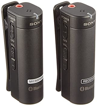【中古】ソニー SONY ワイヤレスマイクロホン ECM-AW4 C