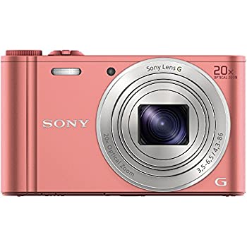 sony cyber shot wx350 case