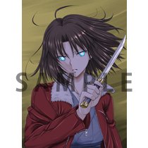 【中古】(未使用・未開封品)劇場版「空の境界」未来福音　ANIPLEX+ 限定特典　F3サイズキャンバスアート画像