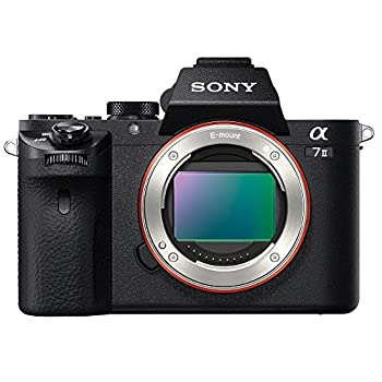 【中古】(非常に良い)ソニー SONY ミラーレス一眼 α7 II ボディ ILCE-7M2