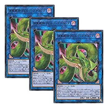 【中古】(非常に良い)【 3枚セット 】遊戯王 日本語版 LVP3-JP071 Predaplant Verte Anaconda 捕食植物ヴェルテ・アナコンダ (ウルトラレア)｜COCOHOUSE