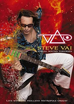 【中古】［状態良好］ビジュアル・サウンド・セオリーズ [DVD]