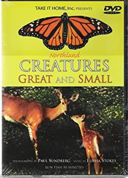 【中古】(非常に良い)Northland Creatures Great & Small [DVD]