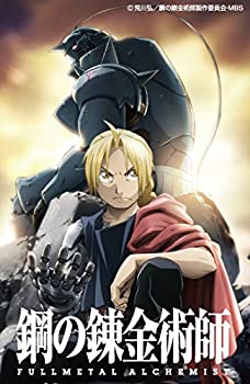 【中古】(非常に良い)鋼の錬金術師 FULLMETAL ALCHEMIST [レンタル落ち] (全16巻) [マーケットプレイス DVDセット商品]