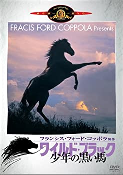 【中古】［状態良好］ワイルド・ブラック／少年の黒い馬 [DVD]