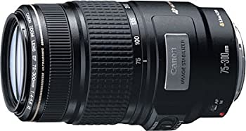 【中古】Canon EF 75-300mm F4-5.6 IS USM|COCOHOUSE