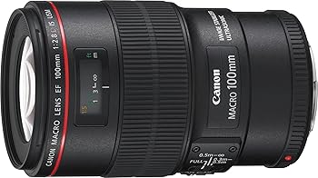 【中古】(人並み外れたに好いたらしい)キヤノン Canon 単興味の中心マクロ命令水晶体 キヤノン EFマウント EF100粍 F2.8L マクロ命令 IS USM フルサイズ相応う