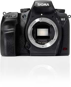 【中古】SIGMA デジタル一眼レフカメラ SD1Merrill 4,600万画素 FoveonX3ダイレクトイメージセンサー(APS-C)搭載 928766|COCOHOUSE
