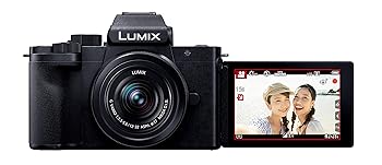 【中古】(非常に良い)パナソニック ミラーレス一眼カメラ ルミックス G100K 標準ズームレンズキット ブラック DC-G100K-K|COCOHOUSE