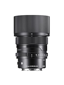 【中古】［物質の状態思わしい］シグマ(Sigma) SIGMA シグマ Sony Eマウント 水晶体 65粍 F2 DG DN 単興味の中心 望遠 フルサイズ Contemporary 鏡鑑受け答え 専用
