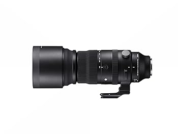 いいスタイル【中古】ペンタックス smc PENTAX-DA☆50-135mmF2.8ED[IF