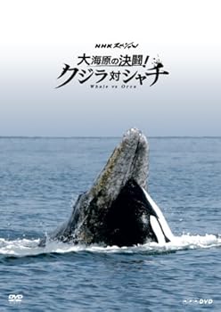 【中古】(未使用品)NHKスペシャル 大海原の決闘! クジラ対シャチ [Blu-ray]
