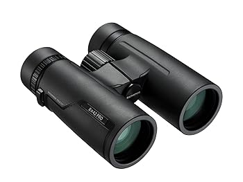 【中古】OLYMPUS 小型望遠鏡 8X42 PRO 雨合羽防曇 ダハプリズム式 8倍42差しわたし