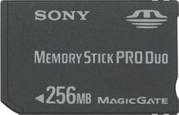 【中古】SONY ニュー・記憶装置突っ支い棒PRO二人組 MSX-M256S 256MB