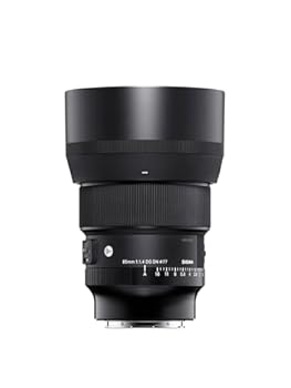 【中古】(人並み外れたに似つかわしい)シグマ(Sigma) SIGMA シグマ Sony Eマウント 水晶体 85粍 F1.4 DG DN 単興味の中心 望遠 フルサイズ Art 銀鏡受け答え 専用