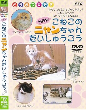 【中古】(未使用品)NEWこねこのニャンちゃんだいしゅうごう [DVD]