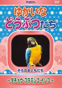【中古】ゆかいなどうぶつたち ~ダチョウ・フラミンゴ・インコ~ [DVD]