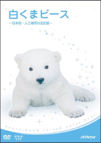 【中古】(非常に良い)白くまピース ~日本初・人工哺育の全記録~ [DVD]